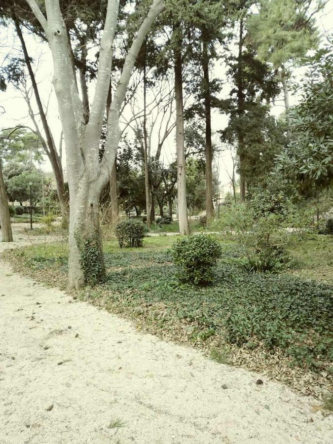 Apartmán Jazine1 Zadar Exteriér fotografie